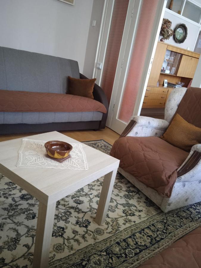 Apartman Nikolic Бор Экстерьер фото