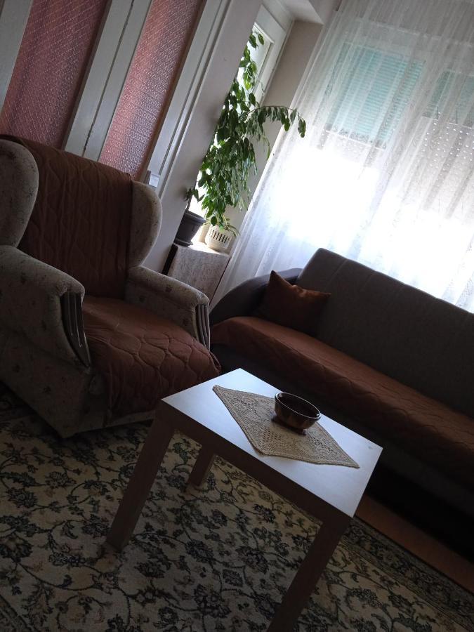 Apartman Nikolic Бор Экстерьер фото