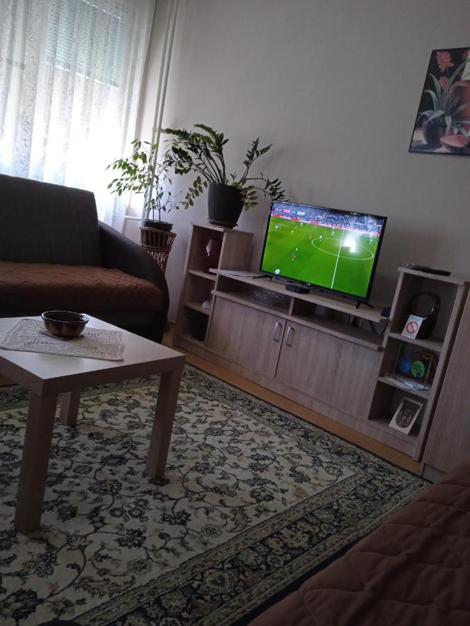 Apartman Nikolic Бор Экстерьер фото