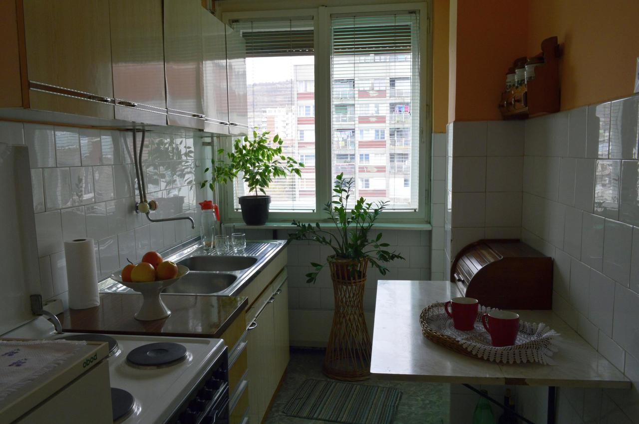 Apartman Nikolic Бор Экстерьер фото