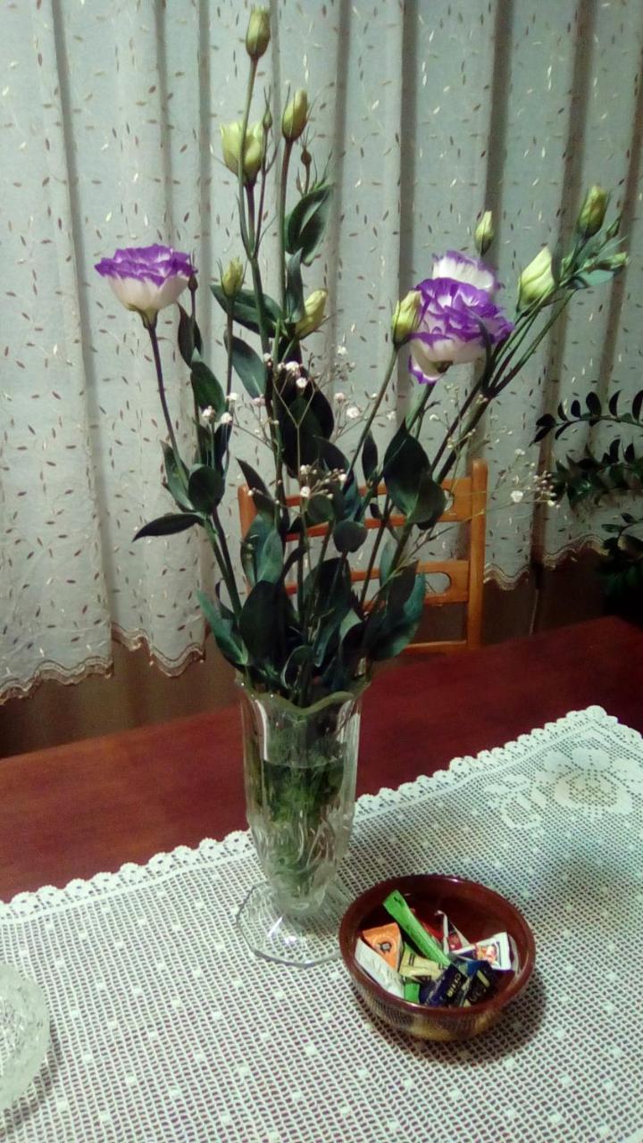 Apartman Nikolic Бор Экстерьер фото